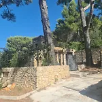 Provencal, 900 M *