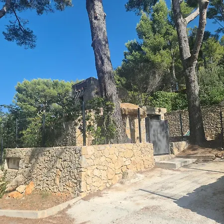 Provencal, 900 M *